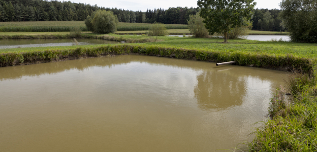création et curage d'étangs à Brécy près de Bourges dans le Cher 18